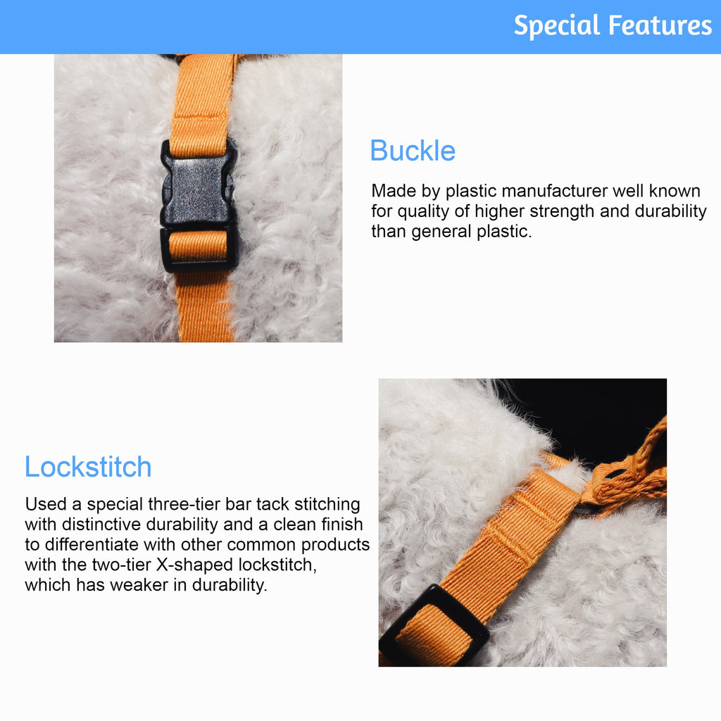 Adjustable Webbing Dog Collar
