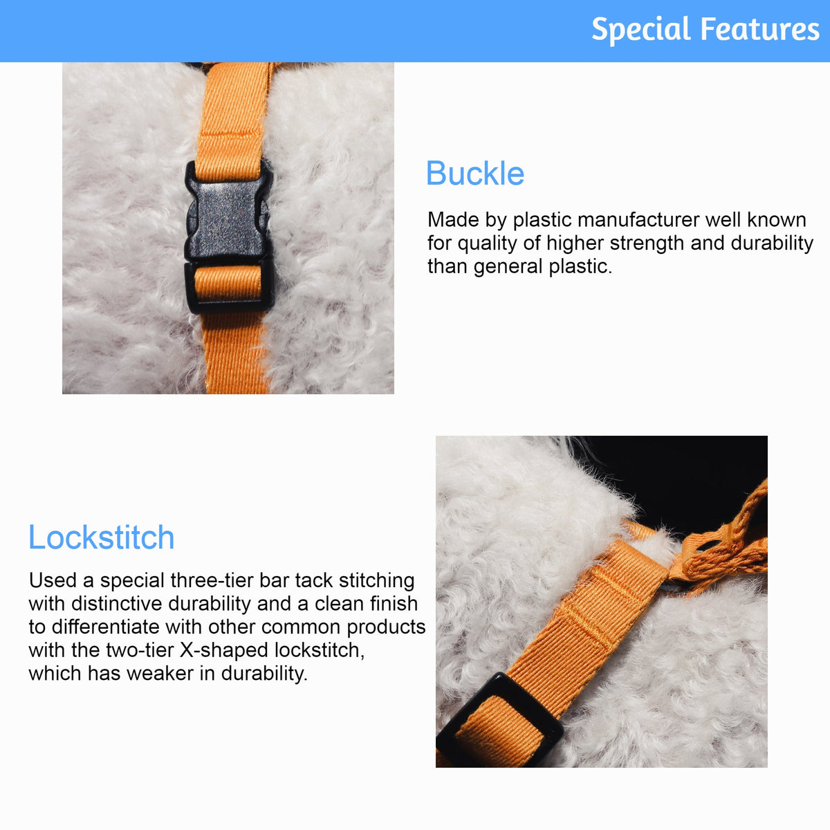 Adjustable Webbing Dog Collar