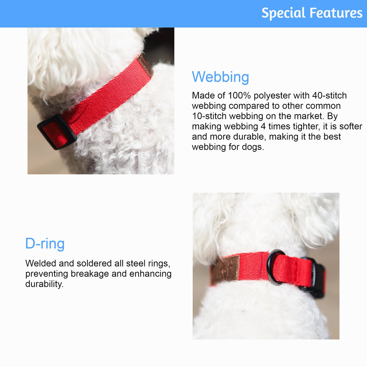 Adjustable Webbing Dog Collar