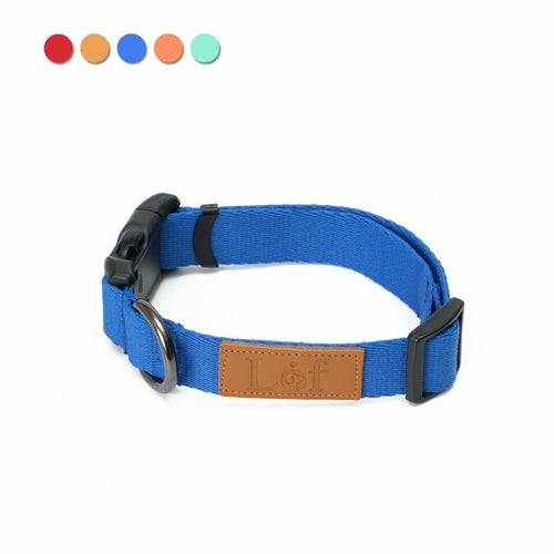 Adjustable Webbing Dog Collar