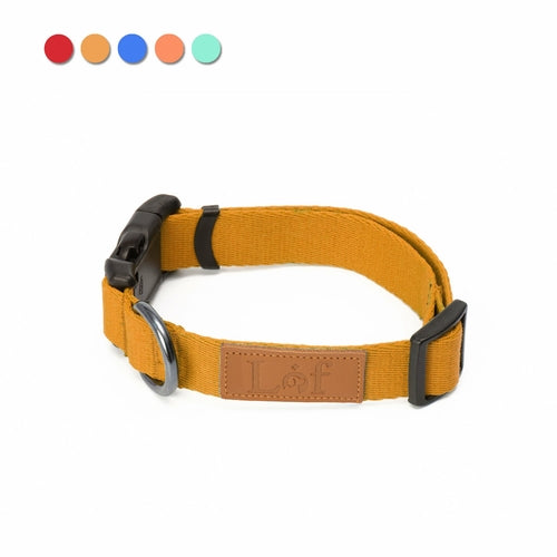 Adjustable Webbing Dog Collar
