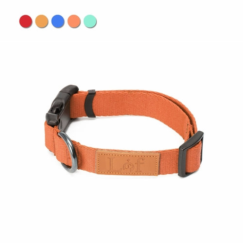 Adjustable Webbing Dog Collar