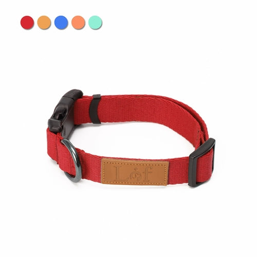 Adjustable Webbing Dog Collar