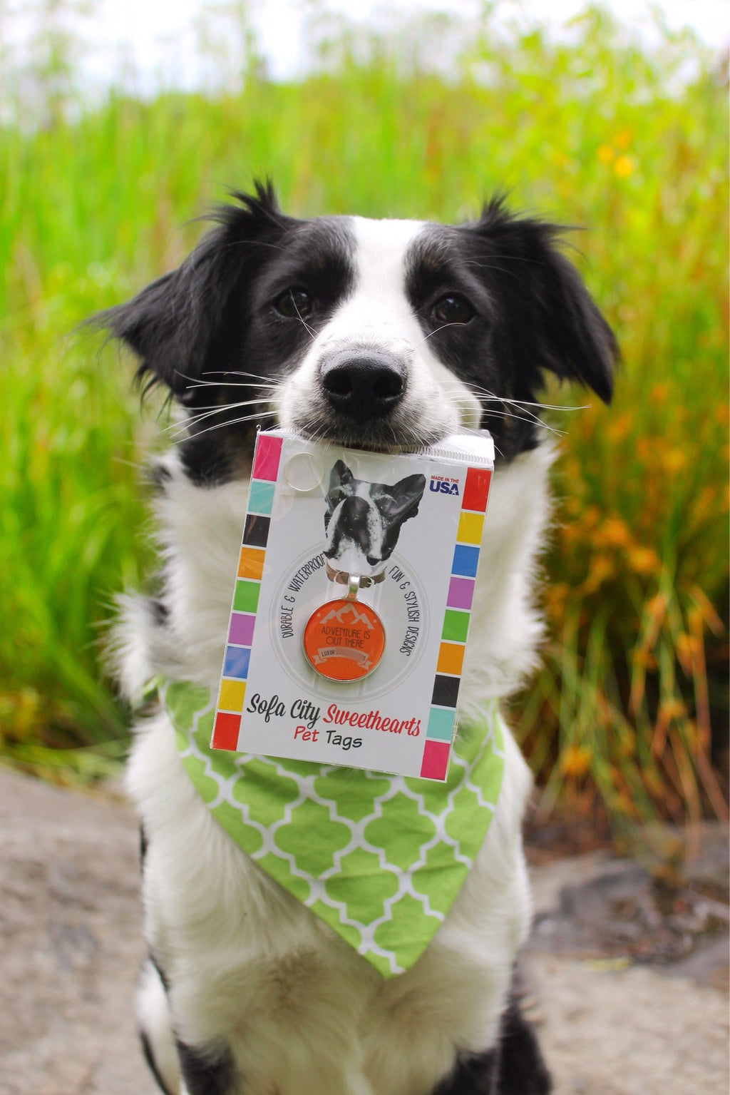 "Adventure is Out There" Personalized Dog ID Custom Pet Tag You Choose