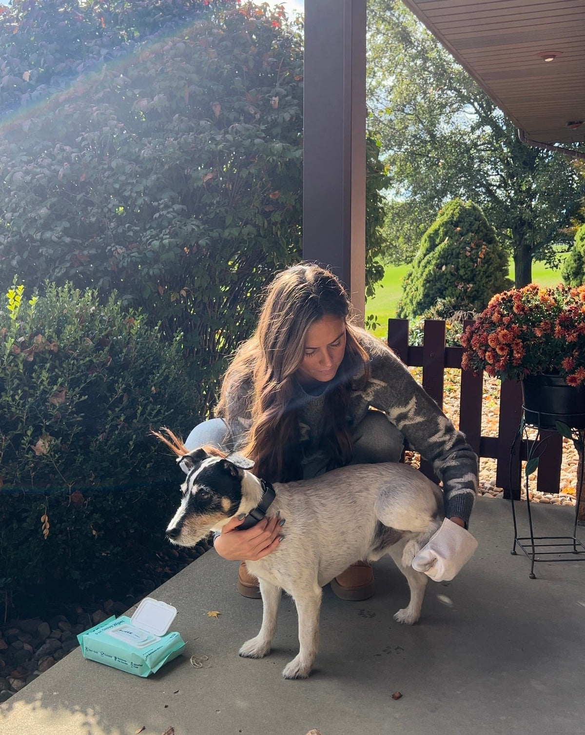 Pet Glove Wipes