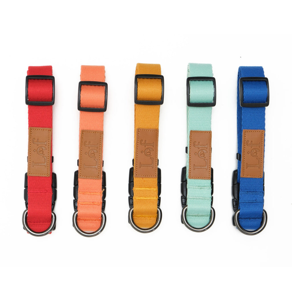 Adjustable Webbing Dog Collar