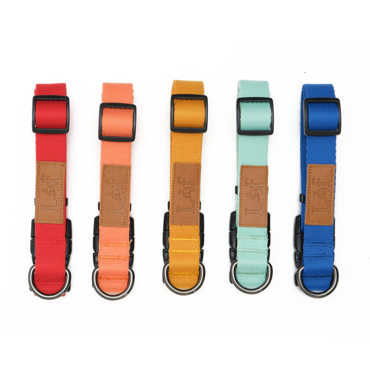 Adjustable Webbing Dog Collar