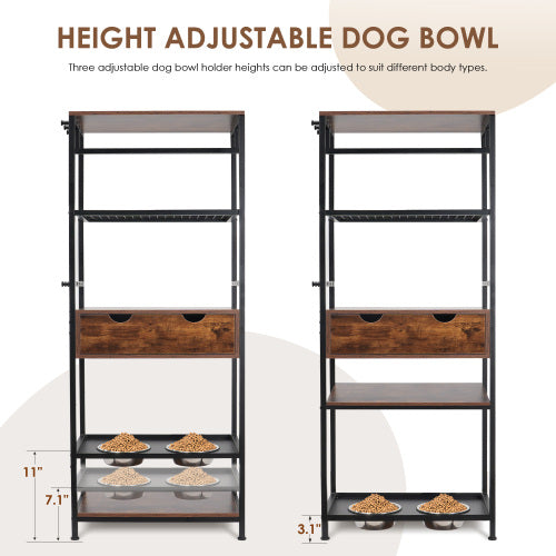 Dog Feeding Station